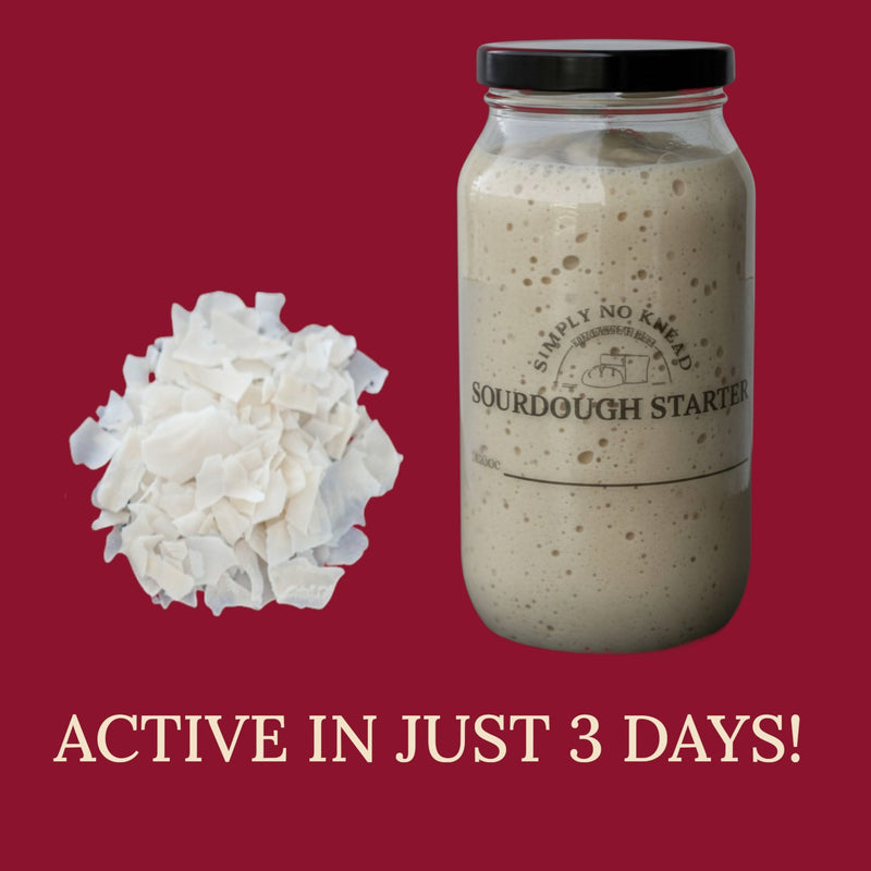 Sourdough Starter Flakes – Dehydrated for Fast Activation