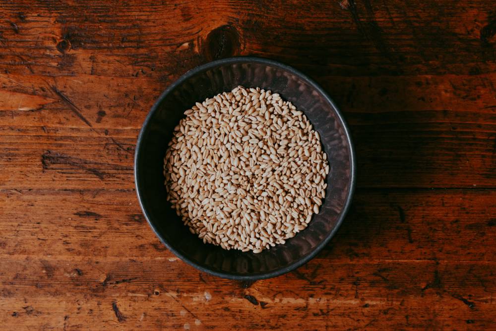 Wheat Grain