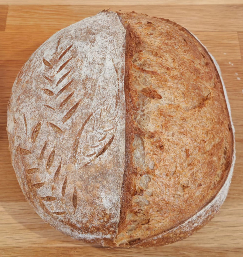 Bella Sourdough Classic White sourdough loaf