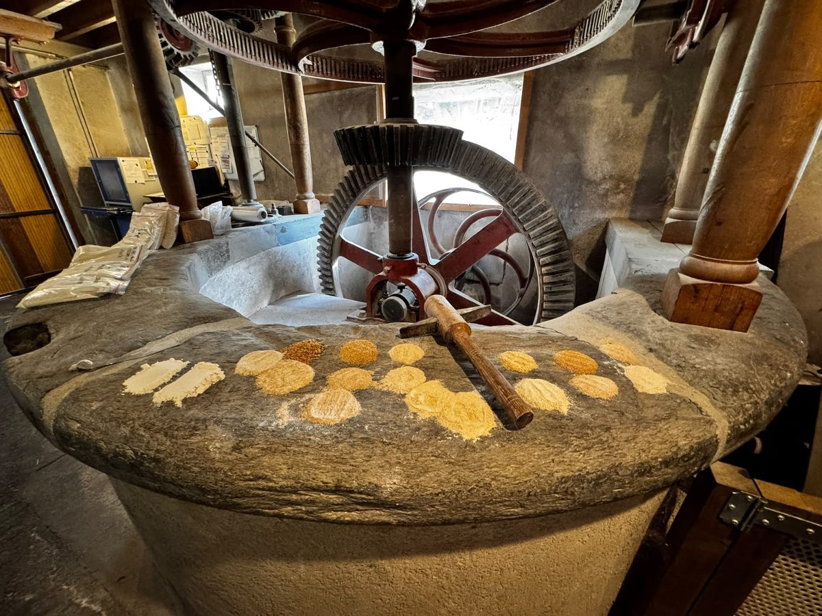 Flour samples on the stone mill at Minoterie Bourseau in Nozay, France